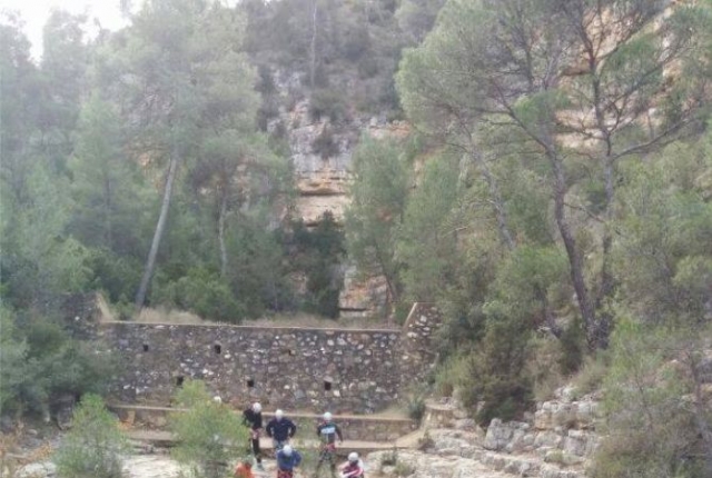  L'ingresso nella foresta 